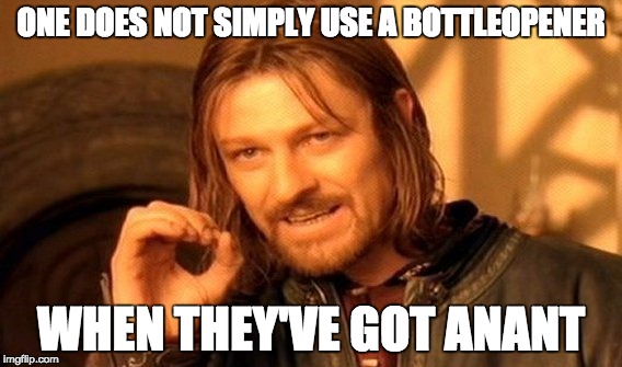 One Does Not Simply | ONE DOES NOT SIMPLY USE A BOTTLEOPENER; WHEN THEY'VE GOT ANANT | image tagged in memes,one does not simply | made w/ Imgflip meme maker
