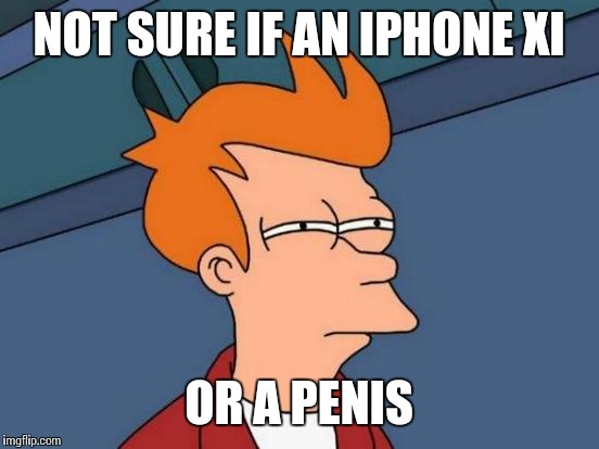 Futurama Fry Meme | NOT SURE IF AN IPHONE XI OR A P**IS | image tagged in memes,futurama fry | made w/ Imgflip meme maker