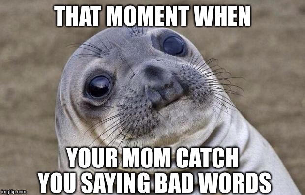 Awkward Moment Sealion Meme | THAT MOMENT WHEN; YOUR MOM CATCH YOU SAYING BAD WORDS | image tagged in memes,awkward moment sealion | made w/ Imgflip meme maker