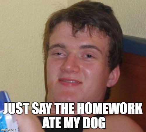 10 Guy Meme | JUST SAY THE HOMEWORK ATE MY DOG | image tagged in memes,10 guy | made w/ Imgflip meme maker