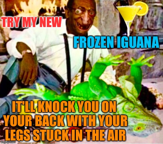 Frozen Iguana | TRY MY NEW; FROZEN IGUANA; IT'LL KNOCK YOU ON YOUR BACK WITH YOUR LEGS STUCK IN THE AIR | image tagged in iguana,winter storm,freezing,bill cosby,florida,pills | made w/ Imgflip meme maker