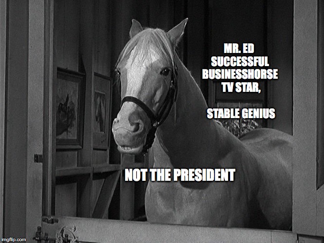 The Real Stable Genius |  MR. ED SUCCESSFUL BUSINESSHORSE  TV STAR,       STABLE GENIUS; NOT THE PRESIDENT | image tagged in stable genius,trump,mr ed,bobcrespodotcom | made w/ Imgflip meme maker
