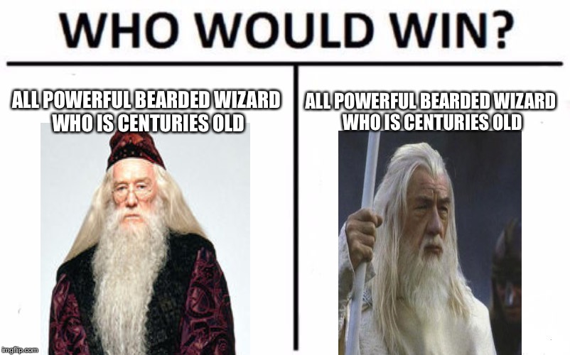 Who Would Win? | ALL POWERFUL BEARDED WIZARD WHO IS CENTURIES OLD; ALL POWERFUL BEARDED WIZARD WHO IS CENTURIES OLD | image tagged in memes,who would win | made w/ Imgflip meme maker