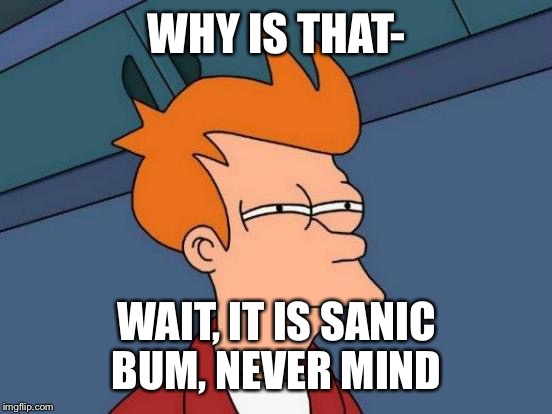 Futurama Fry Meme | WHY IS THAT- WAIT, IT IS SANIC BUM, NEVER MIND | image tagged in memes,futurama fry | made w/ Imgflip meme maker