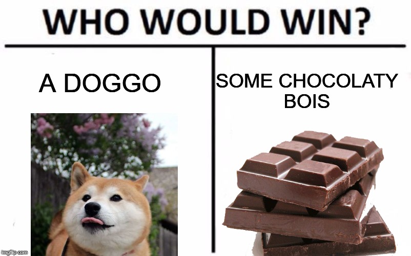 Who Would Win? Meme | A DOGGO; SOME CHOCOLATY BOIS | image tagged in memes,who would win | made w/ Imgflip meme maker