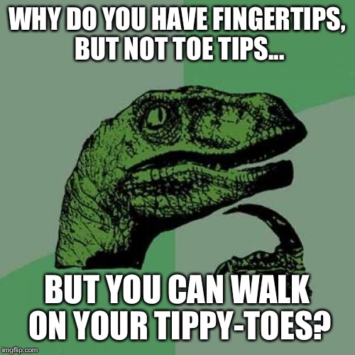 Philosoraptor Meme | WHY DO YOU HAVE FINGERTIPS, BUT NOT TOE TIPS... BUT YOU CAN WALK ON YOUR TIPPY-TOES? | image tagged in memes,philosoraptor | made w/ Imgflip meme maker