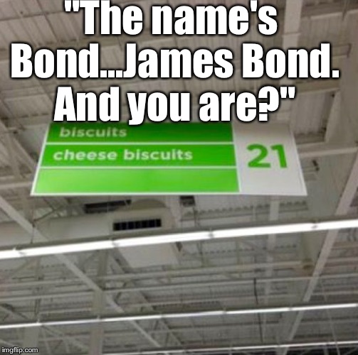 I Couldn't Resist.... | "The name's Bond...James Bond. And you are?" | image tagged in memes,signs,too funny | made w/ Imgflip meme maker