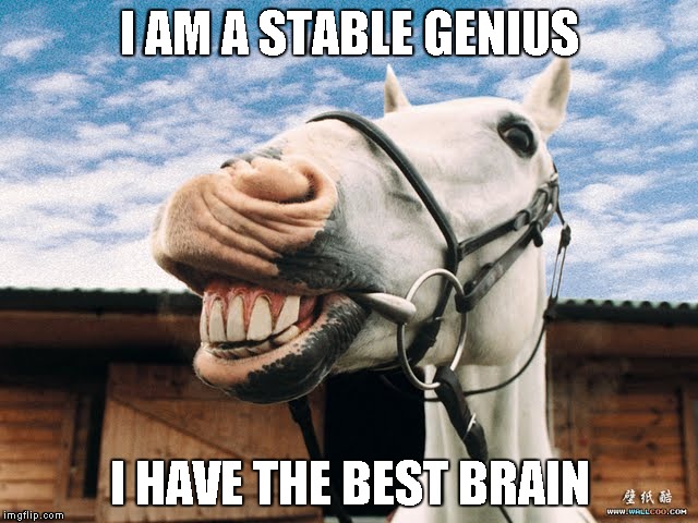 I AM A STABLE GENIUS; I HAVE THE BEST BRAIN | image tagged in genius,trump | made w/ Imgflip meme maker