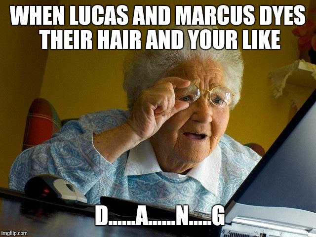 Grandma Finds The Internet Meme | WHEN LUCAS AND MARCUS DYES THEIR HAIR AND YOUR LIKE; D......A......N.....G | image tagged in memes,grandma finds the internet | made w/ Imgflip meme maker