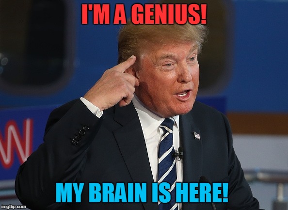 Trump Points! | I'M A GENIUS! MY BRAIN IS HERE! | image tagged in dumb trump | made w/ Imgflip meme maker