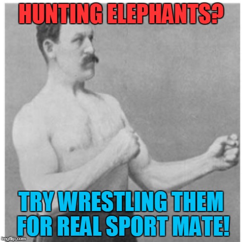 Elephant Wrestling! | HUNTING ELEPHANTS? TRY WRESTLING THEM FOR REAL SPORT MATE! | image tagged in memes,overly manly man | made w/ Imgflip meme maker