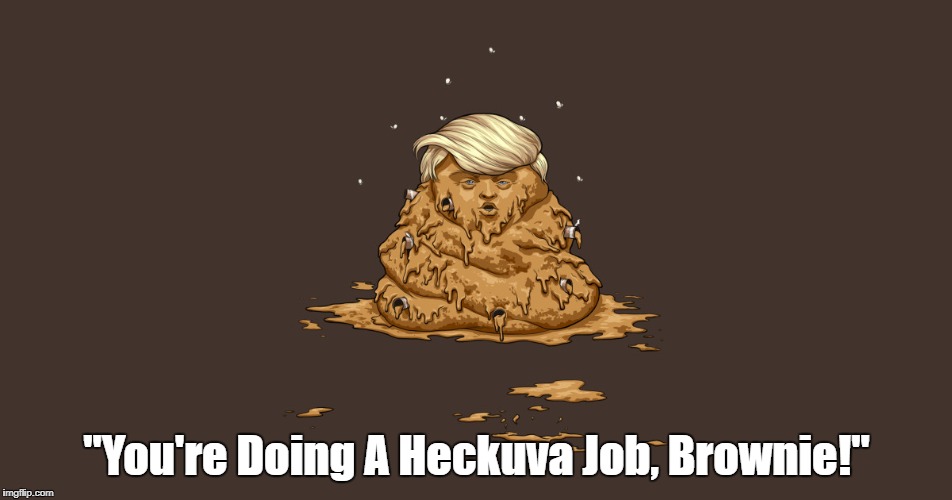 "You're Doing A Heckuva Job, Brownie!" | "You're Doing A Heckuva Job, Brownie!" | image tagged in deplorable donald,despicable donald,devious donald,dishonorable donald | made w/ Imgflip meme maker