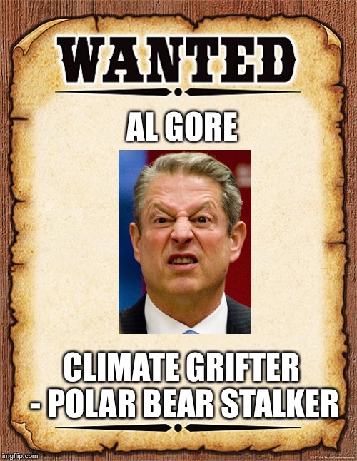 wanted poster | AL GORE; CLIMATE GRIFTER - POLAR BEAR STALKER | image tagged in wanted poster | made w/ Imgflip meme maker