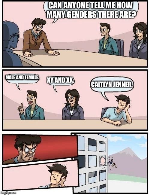 Boardroom Meeting Suggestion Meme | CAN ANYONE TELL ME HOW MANY GENDERS THERE ARE? MALE AND FEMALE. XY AND XX. CAITLYN JENNER. | image tagged in memes,boardroom meeting suggestion | made w/ Imgflip meme maker