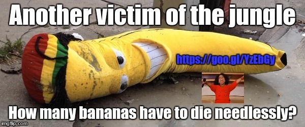 Welcome to the Jungle | image tagged in bananas,jungle,thinkbananarevolution | made w/ Imgflip meme maker