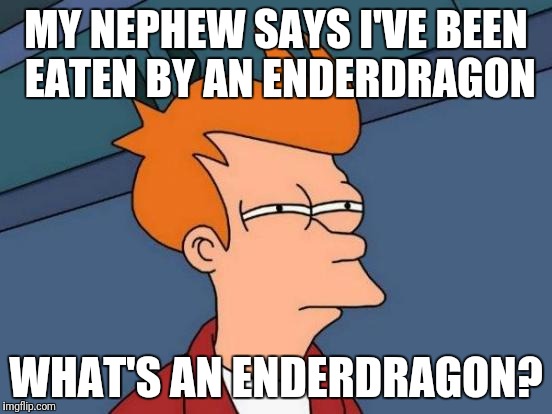 Futurama Fry Meme | MY NEPHEW SAYS I'VE BEEN EATEN BY AN ENDERDRAGON; WHAT'S AN ENDERDRAGON? | image tagged in memes,futurama fry | made w/ Imgflip meme maker