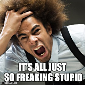 I can't deal with the world today.  | IT'S ALL JUST SO FREAKING STUPID | image tagged in rage | made w/ Imgflip meme maker