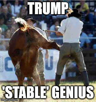 trump stable genius | TRUMP; 'STABLE' GENIUS | image tagged in trump | made w/ Imgflip meme maker