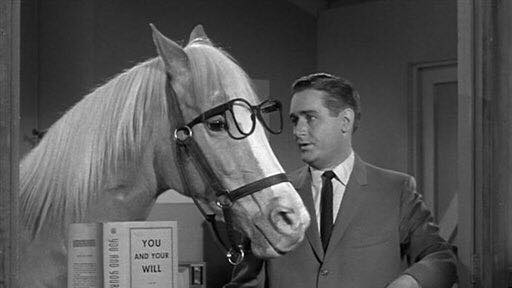 Mr. Ed Blank Meme Template