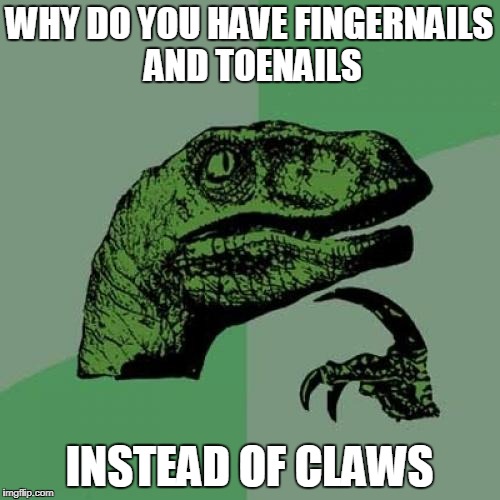 Philosoraptor Meme | WHY DO YOU HAVE FINGERNAILS AND TOENAILS INSTEAD OF CLAWS | image tagged in memes,philosoraptor | made w/ Imgflip meme maker