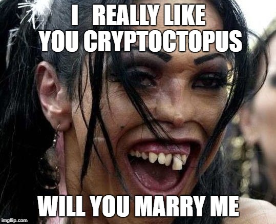 I   REALLY LIKE YOU CRYPTOCTOPUS; WILL YOU MARRY ME | made w/ Imgflip meme maker