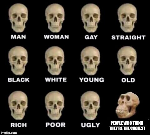 idiot skull | PEOPLE WHO THINK THEY'RE THE COOLEST | image tagged in idiot skull | made w/ Imgflip meme maker