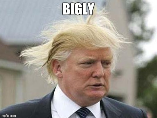 BIGLY | made w/ Imgflip meme maker
