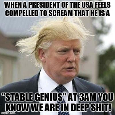 Donald Trump | WHEN A PRESIDENT OF THE USA FEELS COMPELLED TO SCREAM THAT HE IS A; "STABLE GENIUS" AT 3AM YOU KNOW WE ARE IN DEEP SHIT! | image tagged in donald trump | made w/ Imgflip meme maker