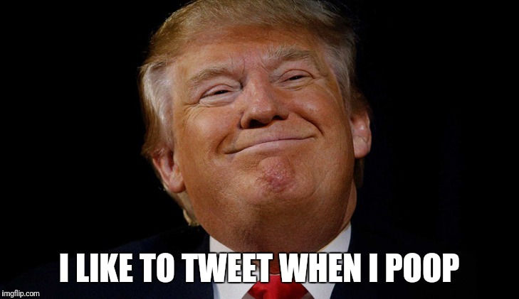 Our little poop tweeter  | I LIKE TO TWEET WHEN I POOP | image tagged in pooping tweeter,memes,lying,donald trump,tweet,trump tweeting | made w/ Imgflip meme maker