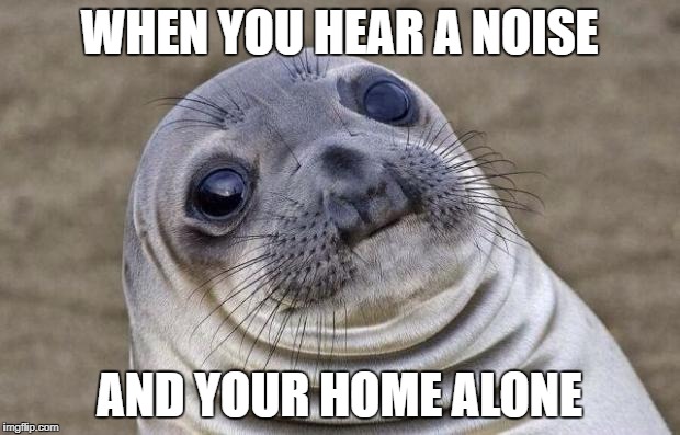 Awkward Moment Sealion Meme | WHEN YOU HEAR A NOISE; AND YOUR HOME ALONE | image tagged in memes,awkward moment sealion | made w/ Imgflip meme maker