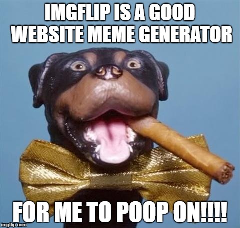 Triumph the Insult Comic Dog | IMGFLIP IS A GOOD WEBSITE MEME GENERATOR; FOR ME TO POOP ON!!!! | image tagged in triumph the insult comic dog | made w/ Imgflip meme maker