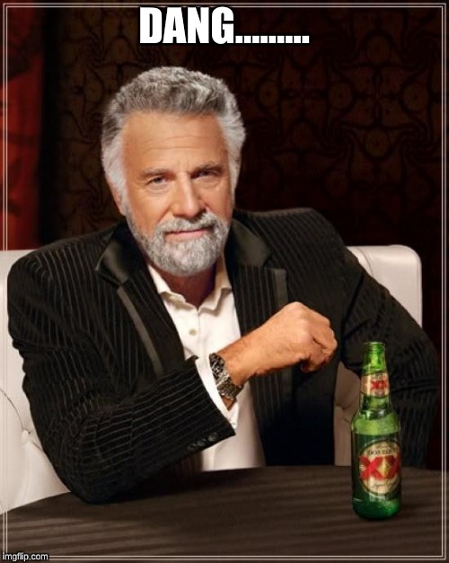 The Most Interesting Man In The World Meme | DANG......... | image tagged in memes,the most interesting man in the world | made w/ Imgflip meme maker