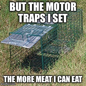 Amateur night | BUT THE MOTOR TRAPS I SET; THE MORE MEAT I CAN EAT | image tagged in amateur night | made w/ Imgflip meme maker