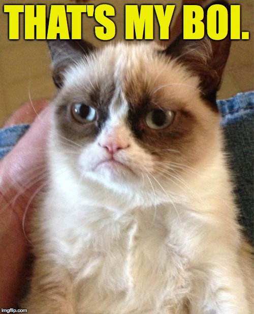 Grumpy Cat Meme | THAT'S MY BOI. | image tagged in memes,grumpy cat | made w/ Imgflip meme maker
