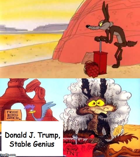 Donald J. Trump, Stable Genius | made w/ Imgflip meme maker