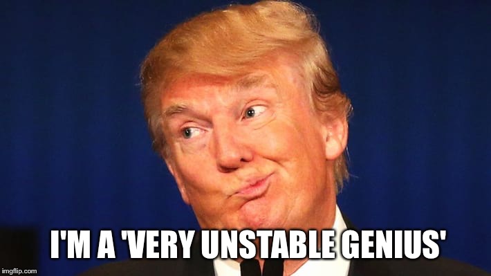 Trump: I'm a 'very unstable genius' | I'M A 'VERY UNSTABLE GENIUS' | image tagged in donald trump,unstable,moron | made w/ Imgflip meme maker