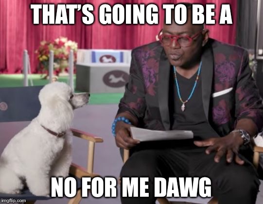 Randy Jackson Dawg |  THAT’S GOING TO BE A; NO FOR ME DAWG | image tagged in randy jackson dawg | made w/ Imgflip meme maker