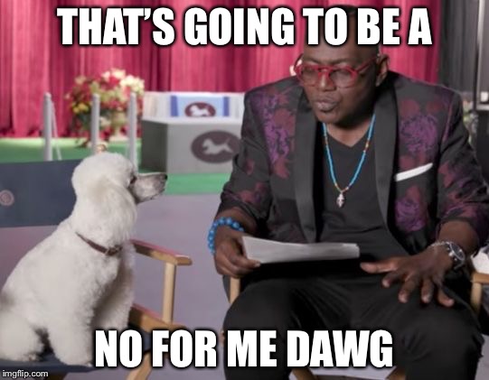 Randy Jackson Dawg | THAT’S GOING TO BE A; NO FOR ME DAWG | image tagged in randy jackson dawg | made w/ Imgflip meme maker