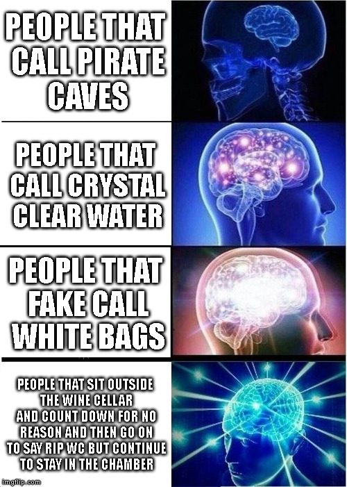 Expanding Brain Meme | PEOPLE THAT CALL PIRATE CAVES; PEOPLE THAT CALL CRYSTAL CLEAR WATER; PEOPLE THAT FAKE CALL WHITE BAGS; PEOPLE THAT SIT OUTSIDE THE WINE CELLAR AND COUNT DOWN FOR NO REASON AND THEN GO ON TO SAY RIP WC BUT CONTINUE TO STAY IN THE CHAMBER | image tagged in memes,expanding brain | made w/ Imgflip meme maker