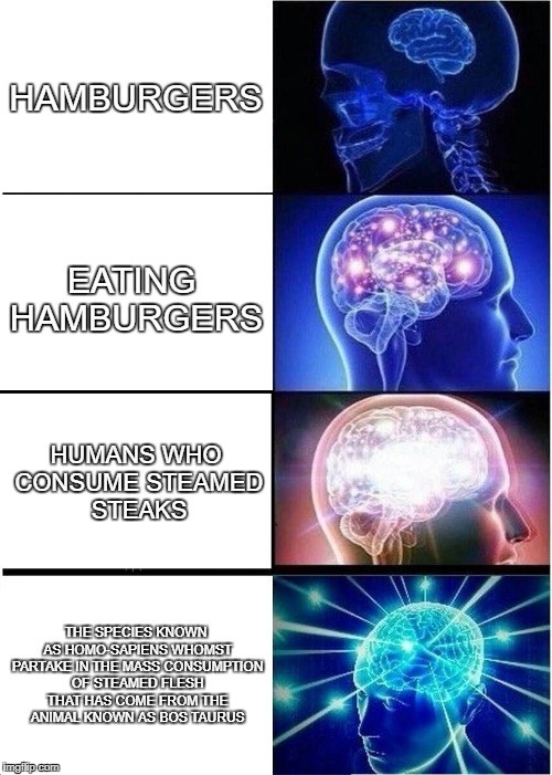 Expanding Brain Meme | HAMBURGERS; EATING HAMBURGERS; HUMANS WHO CONSUME STEAMED STEAKS; THE SPECIES KNOWN AS HOMO-SAPIENS WHOMST PARTAKE IN THE MASS CONSUMPTION OF STEAMED FLESH THAT HAS COME FROM THE ANIMAL KNOWN AS BOS TAURUS | image tagged in memes,expanding brain | made w/ Imgflip meme maker