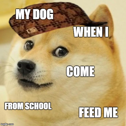 Doge Meme | MY DOG; WHEN I; COME; FROM SCHOOL; FEED ME | image tagged in memes,doge,scumbag | made w/ Imgflip meme maker