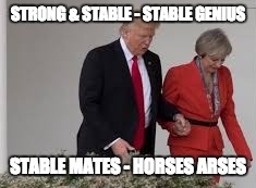 Stable Genius | STRONG & STABLE - STABLE GENIUS; STABLE MATES - HORSES ARSES | image tagged in stable genius,trump,theresa may,strong and stable,horses arse | made w/ Imgflip meme maker