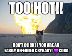 cat explode | TOO HOT!! DON'T CLICK IF YOU ARE AN EASILY OFFENDED CRYBABY! 💜CORA | image tagged in cat explode | made w/ Imgflip meme maker