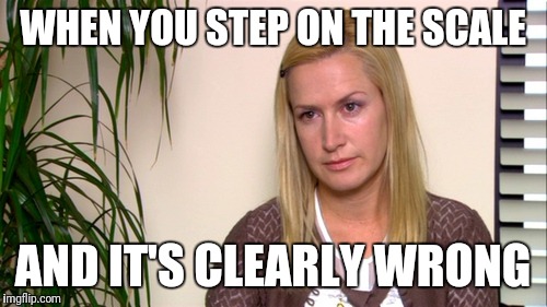 Angela the office | WHEN YOU STEP ON THE SCALE; AND IT'S CLEARLY WRONG | image tagged in angela the office | made w/ Imgflip meme maker