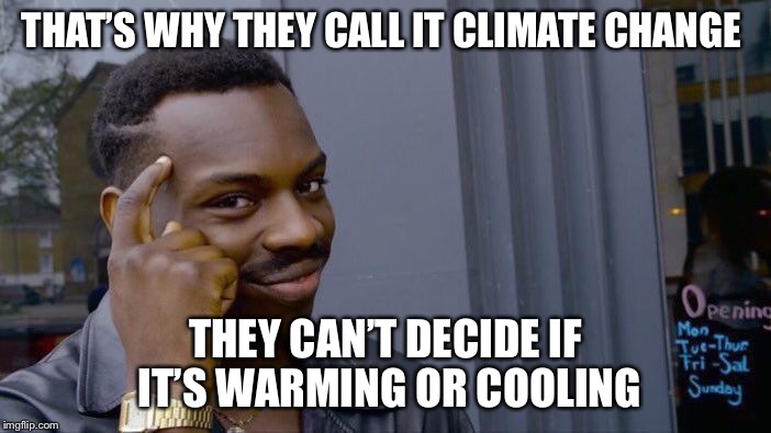 Roll Safe Think About It Meme | THAT’S WHY THEY CALL IT CLIMATE CHANGE THEY CAN’T DECIDE IF IT’S WARMING OR COOLING | image tagged in memes,roll safe think about it | made w/ Imgflip meme maker