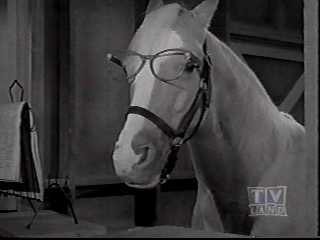 Mr. Ed Stable Genius Blank Meme Template