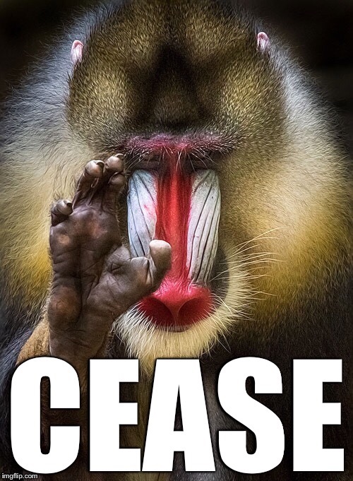 The Mandrill | image tagged in no,stop | made w/ Imgflip meme maker