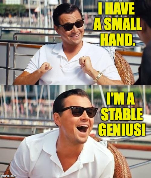 I HAVE A SMALL HAND. I'M A STABLE GENIUS! | made w/ Imgflip meme maker