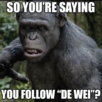 Rocket is Disgusted | SO YOU’RE SAYING; YOU FOLLOW “DE WEI”? | image tagged in planet of the apes | made w/ Imgflip meme maker