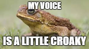 MY VOICE IS A LITTLE CROAKY | made w/ Imgflip meme maker
